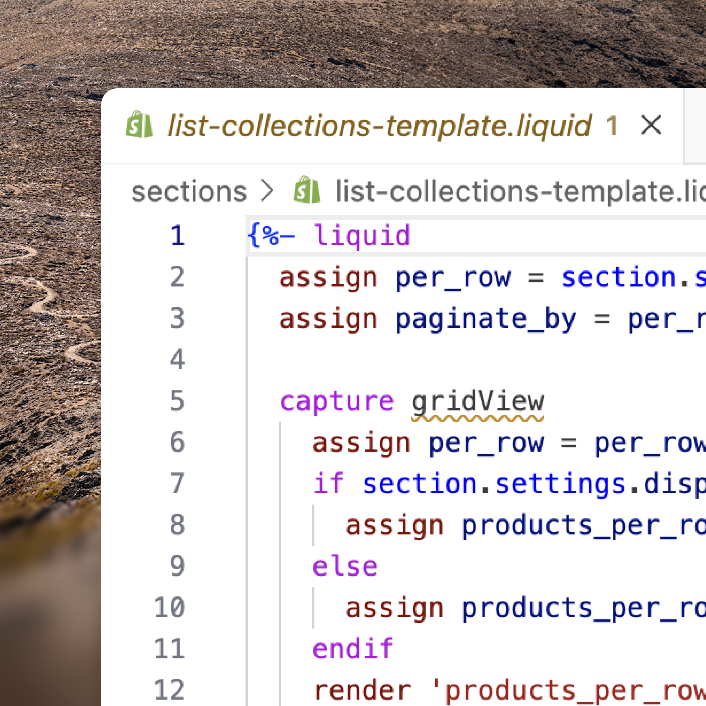Shopify theme development and customisation